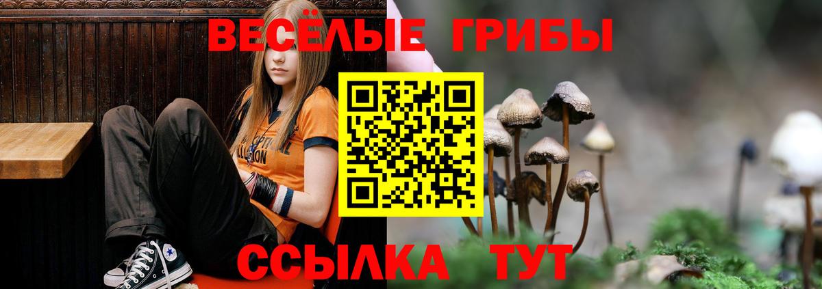 Псилоцибиновые грибы Magic Shrooms  Вход с VPN  Псилоцибиновые грибы Psilocybe  Сальск 